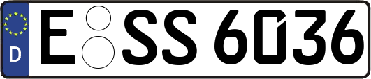 E-SS6036