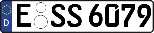 E-SS6079