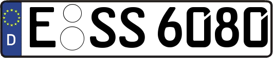 E-SS6080