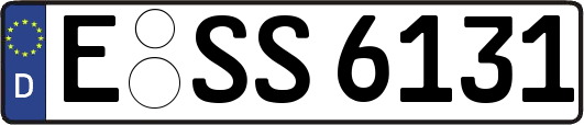 E-SS6131