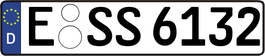 E-SS6132