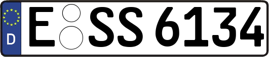 E-SS6134