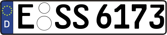E-SS6173