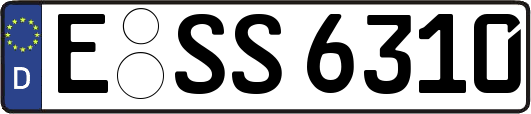 E-SS6310