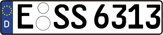 E-SS6313