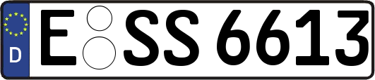 E-SS6613