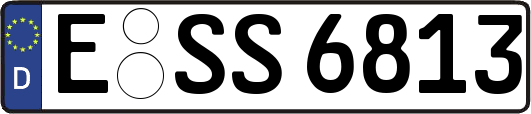 E-SS6813