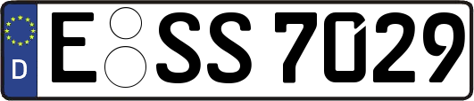 E-SS7029