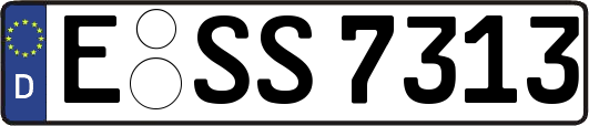 E-SS7313