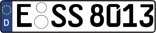 E-SS8013