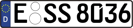E-SS8036