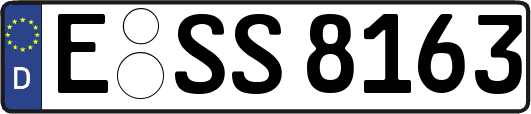 E-SS8163