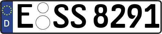 E-SS8291