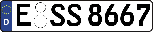 E-SS8667