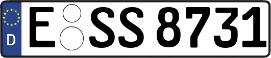 E-SS8731