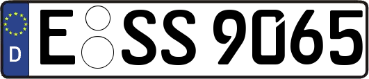 E-SS9065