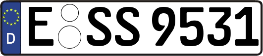 E-SS9531