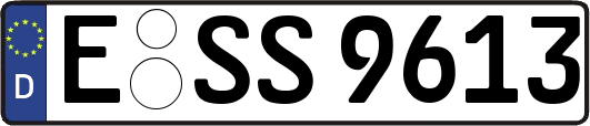 E-SS9613