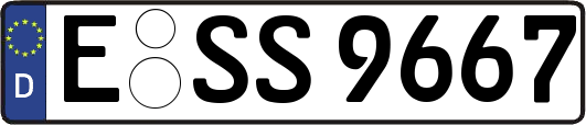 E-SS9667