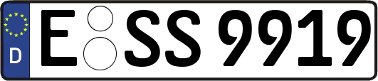 E-SS9919