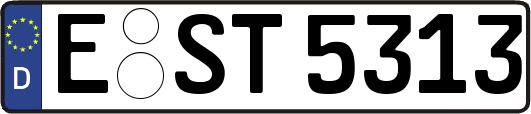 E-ST5313