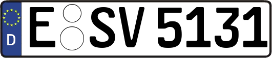 E-SV5131