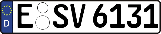 E-SV6131