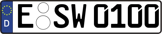 E-SW0100