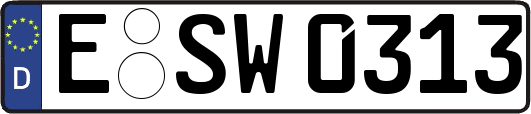 E-SW0313