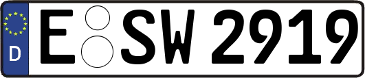 E-SW2919