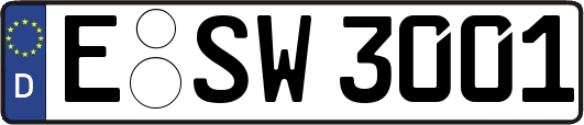 E-SW3001