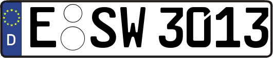 E-SW3013