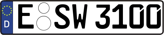 E-SW3100