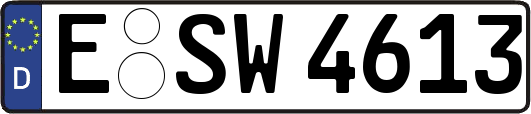 E-SW4613