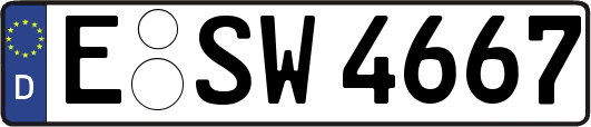 E-SW4667