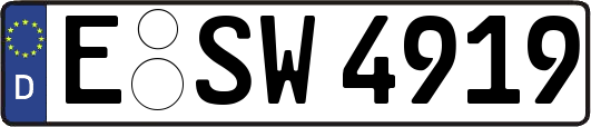 E-SW4919