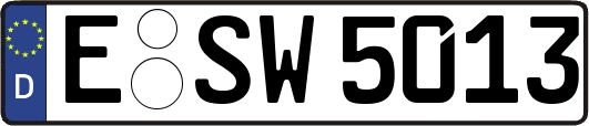 E-SW5013