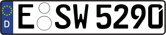 E-SW5290