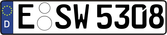 E-SW5308
