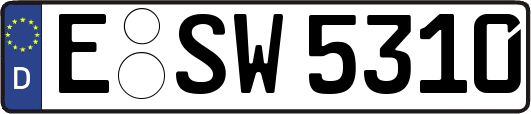 E-SW5310