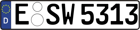 E-SW5313