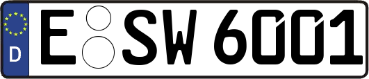 E-SW6001