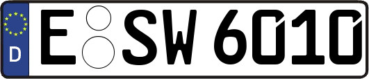 E-SW6010