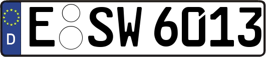 E-SW6013