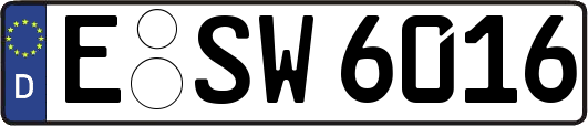E-SW6016