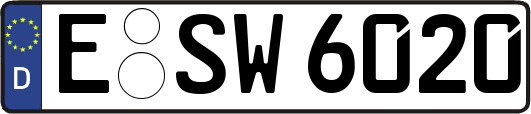 E-SW6020