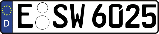 E-SW6025