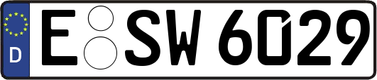 E-SW6029