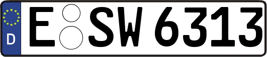 E-SW6313