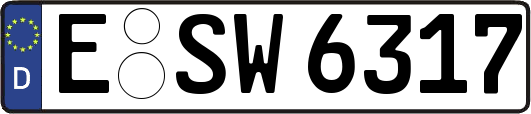 E-SW6317